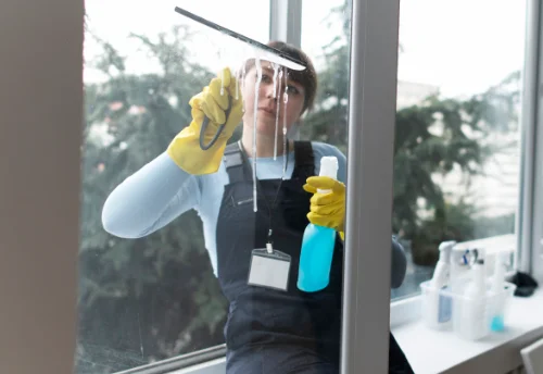 Nettoyage de vitres intérieures et extérieures au Bourg-d'Hem